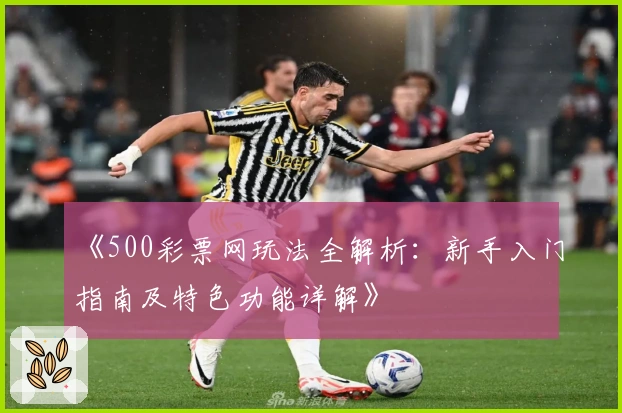 《500彩票网玩法全解析：新手入门指南及特色功能详解》